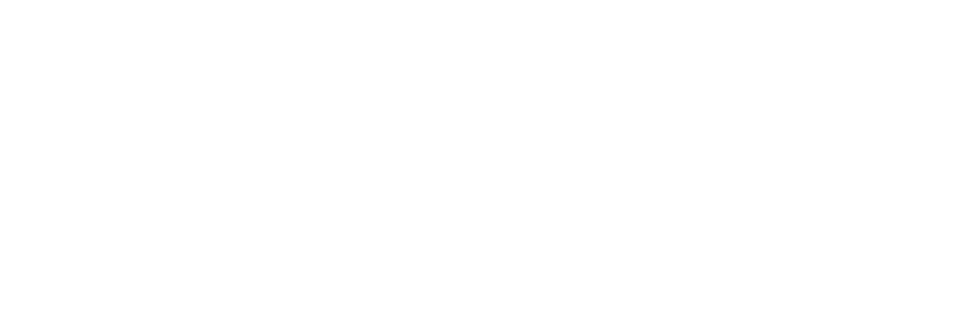 Atom-Audit-Logo-White-horizontal